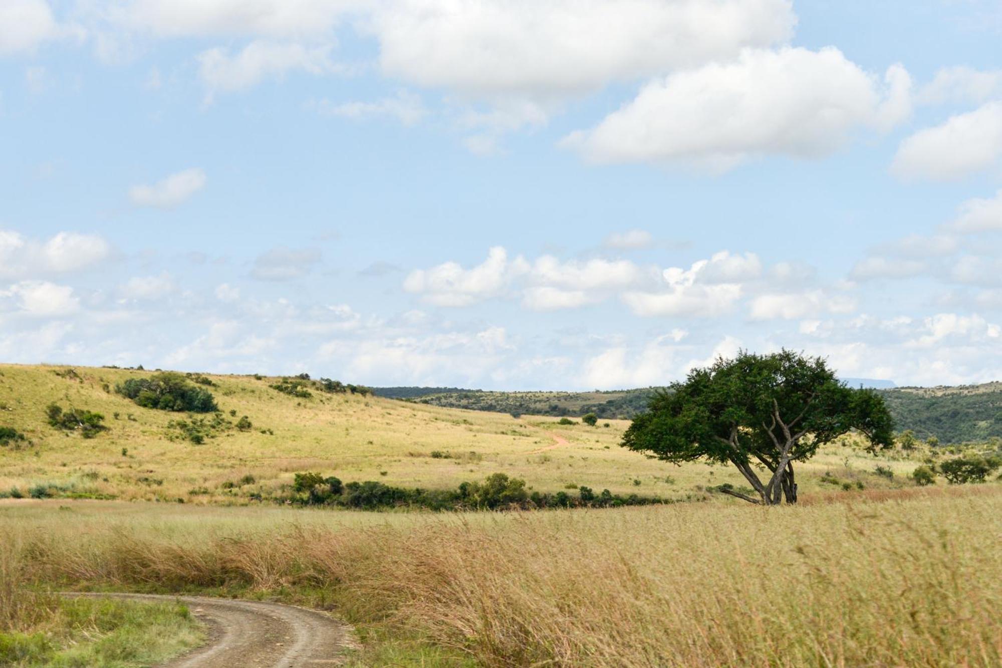 The Springbok Lodge Ladysmith Luaran gambar